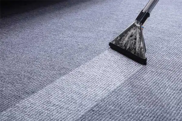 Carpet Cleaning in Erie CO